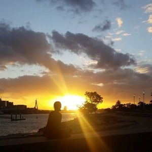 Meet your Posher, Joey